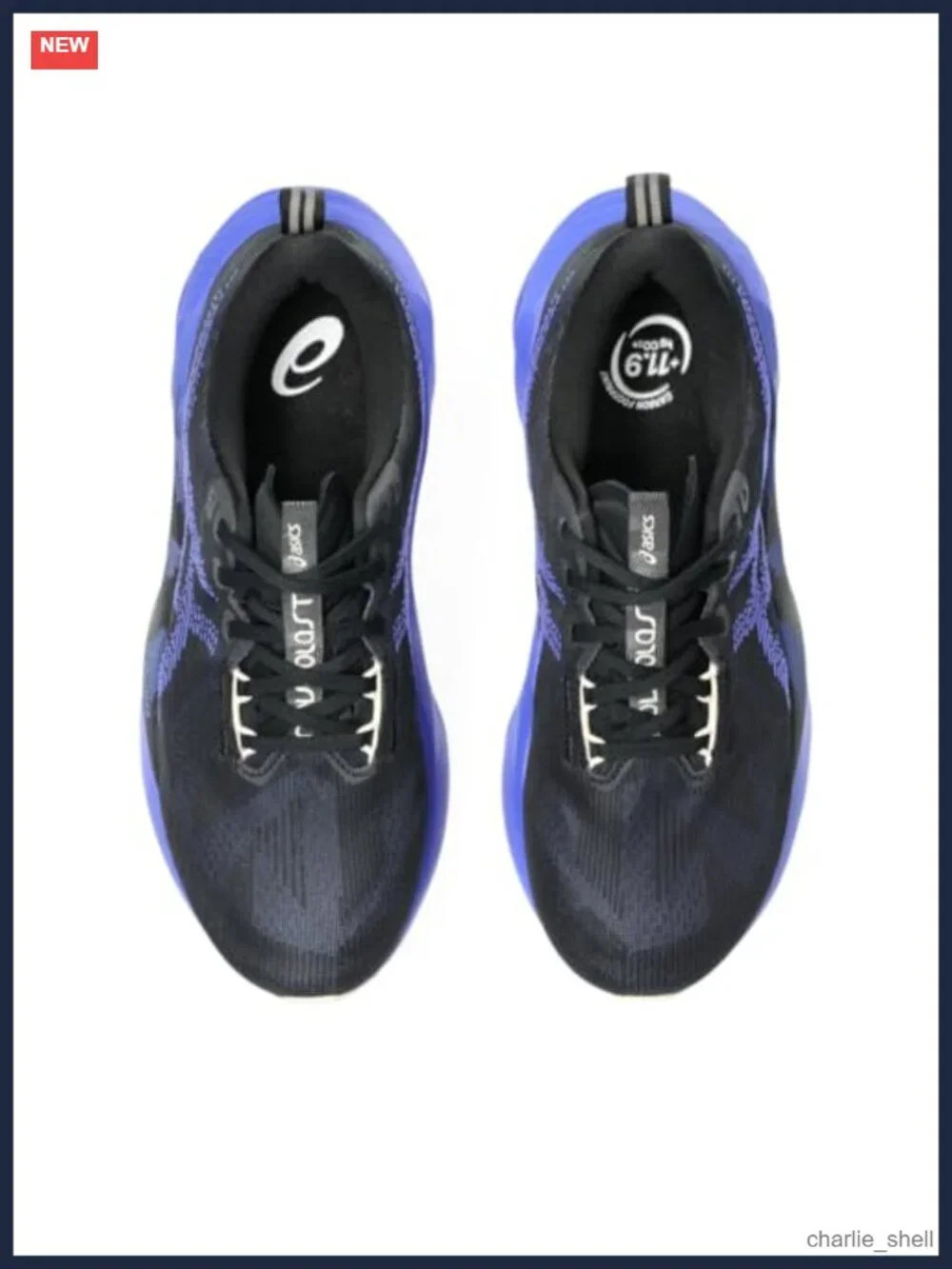 ASICS NOVABLAST 5 Running Shoes Men's Athletic Sneakers